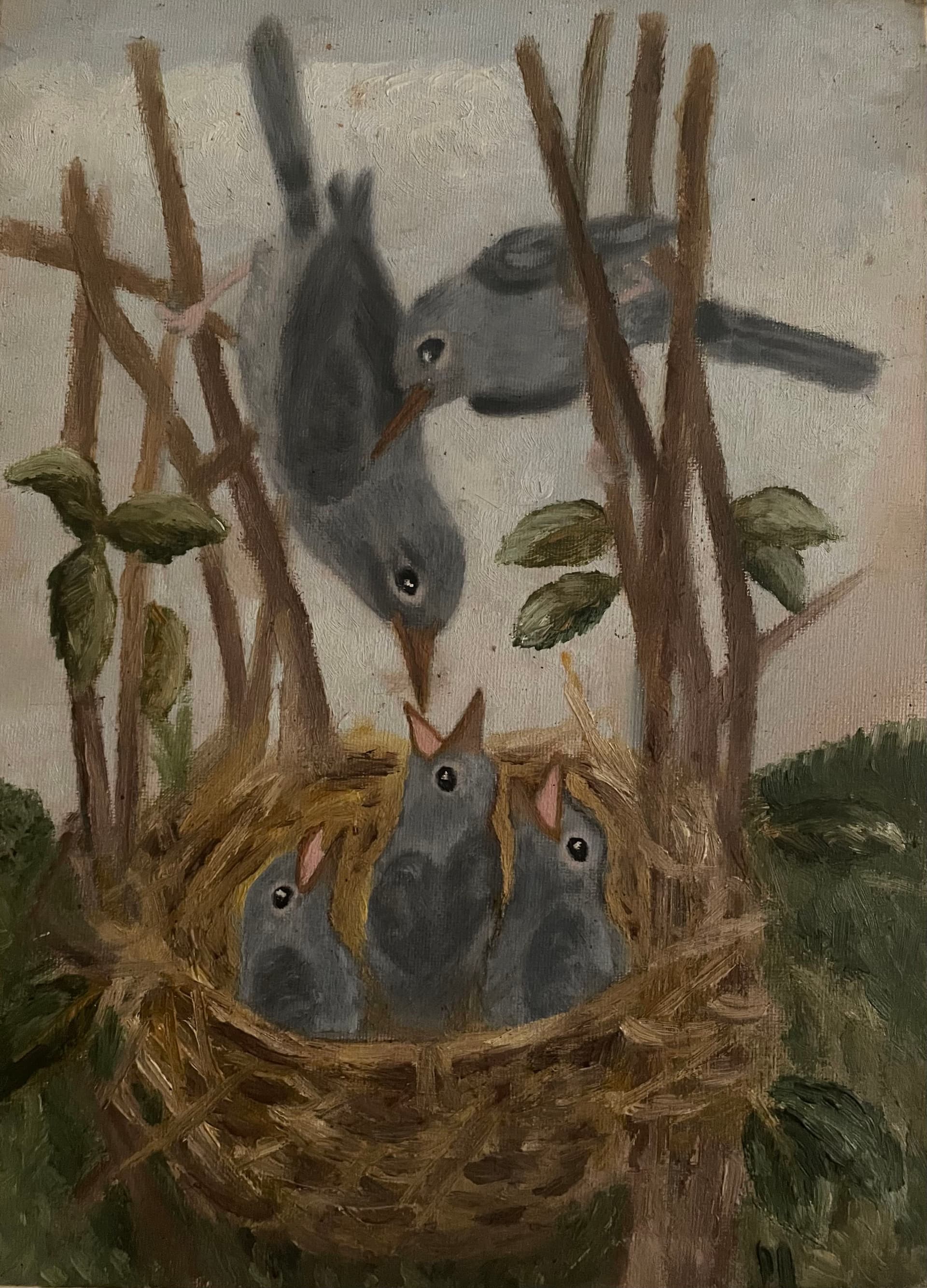 birds